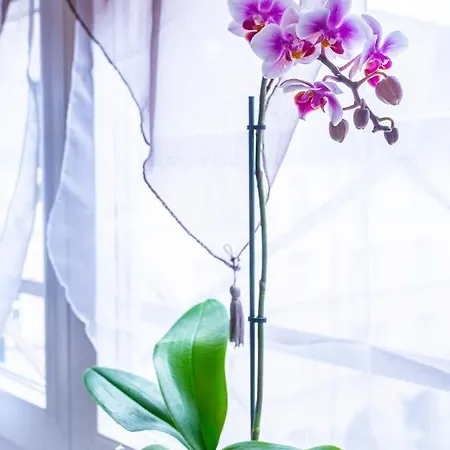 Chez Anne Sophie Historic Center Full Comfort 아파트