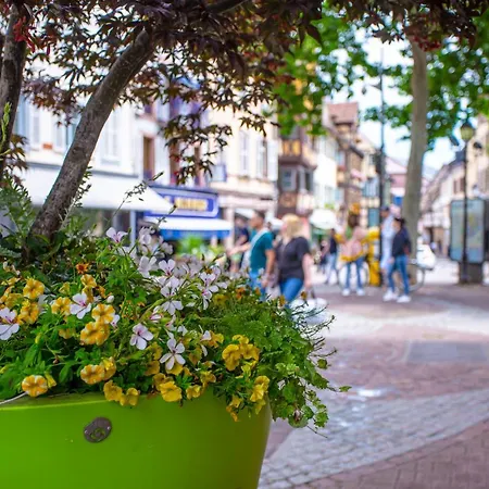 Chez Anne Sophie Historic Center Full Comfort 아파트 *