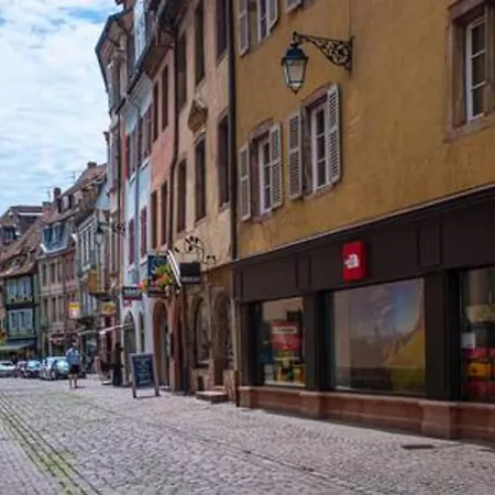 Apartment Chez Anne Sophie Historic Center Full Comfort Colmar